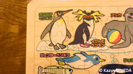 鴨川シーワールド特製パズルには３種類もペンギンがいる(^o