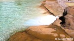 ロンドン動物園のペンギンプール