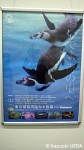 葛西臨海水族園「さざなみくん展」の様子