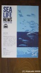 復刊された『SEA LIFE NEWS』(葛西臨海水族園の情報誌)にキングペンギンの話題がありました(^○^)!!