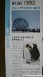 復刊された『SEA LIFE NEWS』(葛西臨海水族園の情報誌)にキングペンギンの話題がありました(^○^)!!